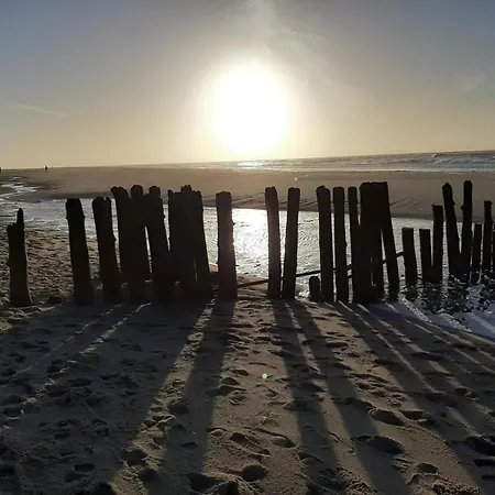 App-irma * ヴェスターラント