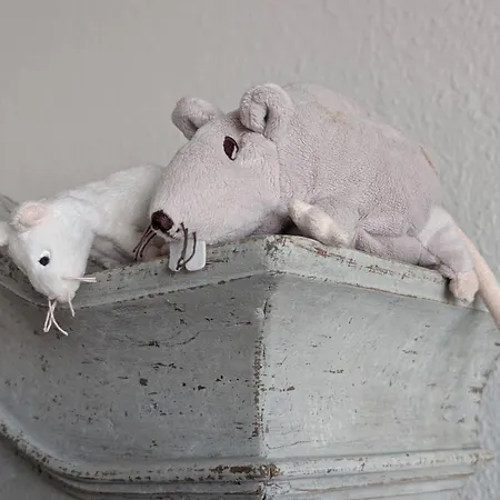 App-irma アパート