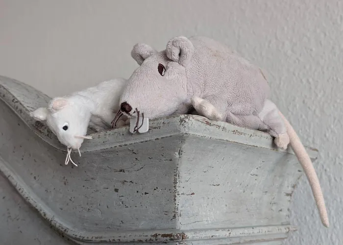 App-irma Apartamento